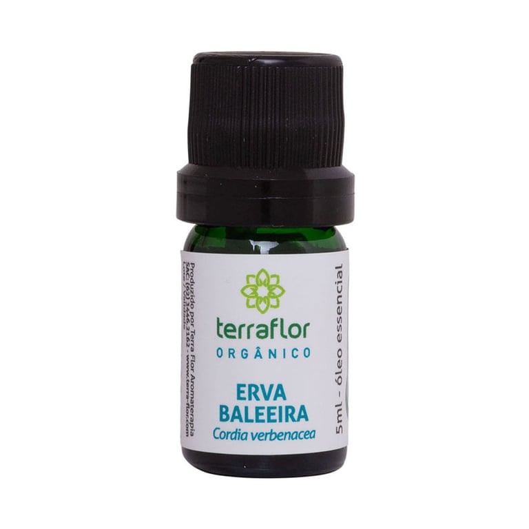 Óleo Essencial De Erva Baleeira Orgânico Terra Flor 5ml