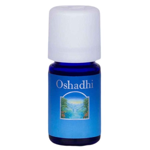 Óleo Essencial de Litsea Cubeba May Chang Orgânico 5ml Oshadhi